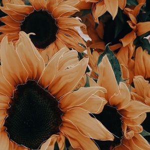 Meet your Posher, Wendy